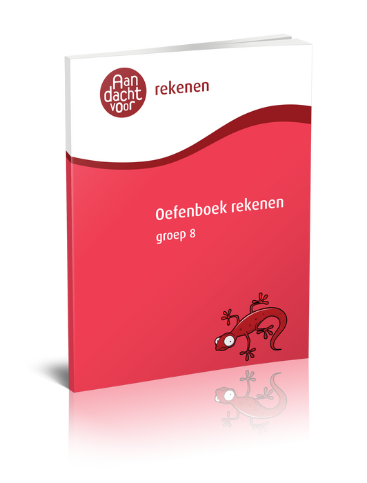 oefenboek rekenen groep 8