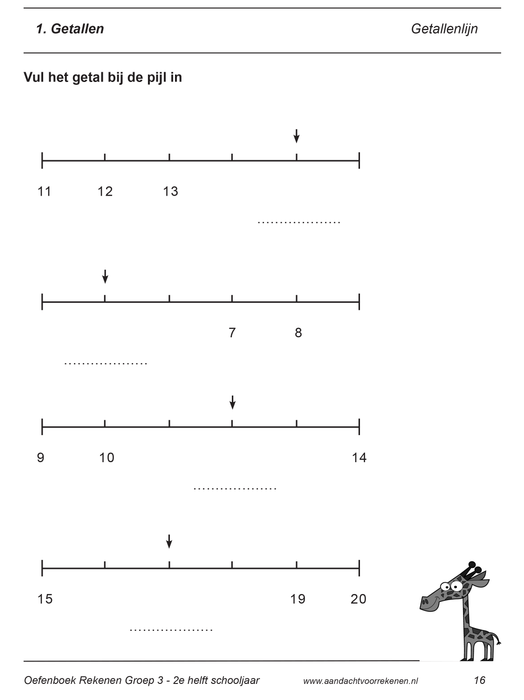 oefeningen rekenen groep 3